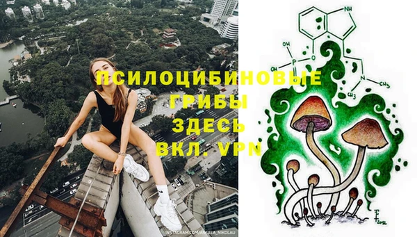 прущие крисы Алзамай