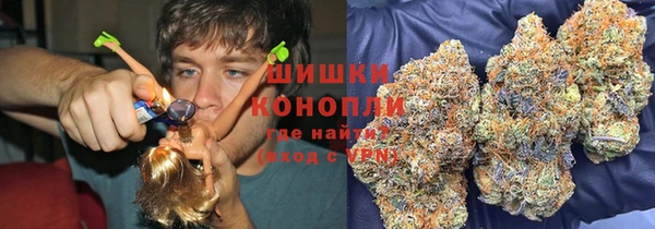 PSILOCYBIN Алексин