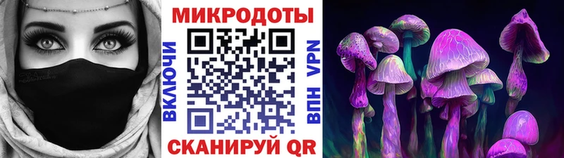 где купить наркоту Гаврилов Посад мориарти какой сайт Псилоцибиновые грибы Cubensis